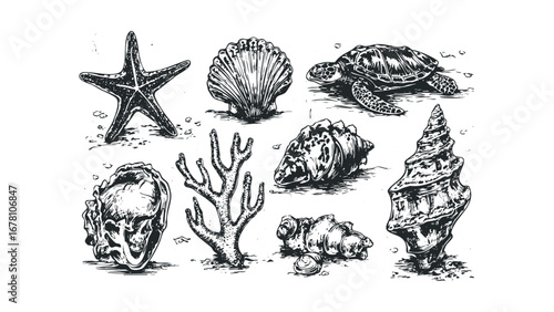 Collection of assorted marine life and objects drawn in a scratchboard style. Vector hand drawn illustration
