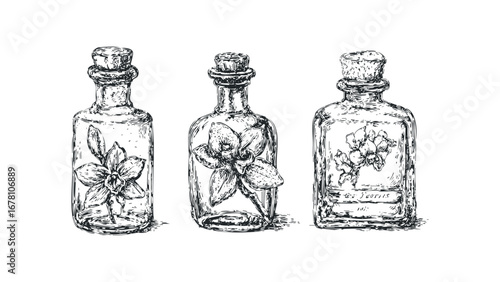 Three glass bottles with cork stoppers containing sketched flowers on a transparent background. Vector hand drawn illustration