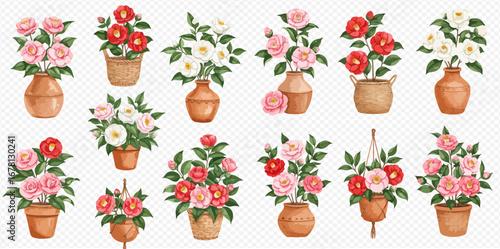 A beautiful collection of watercolor camellia bouquets in various rustic terracotta pots, vases, and baskets.