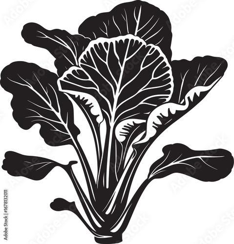 Bok Choy clean simple silhouette