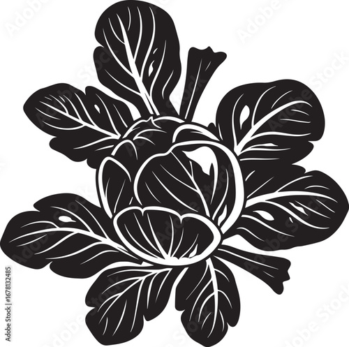 Brussels Sprouts clean simple silhouette