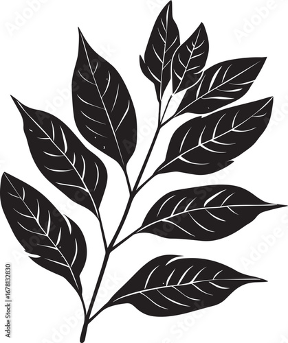 Bay Leaves clean simple silhouette
