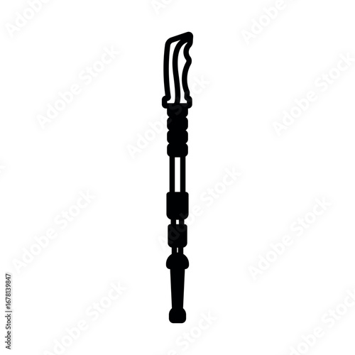 trekking pole icon vector design template elegant style