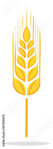 Vector illustration of a golden wheat stalk or ear of grain