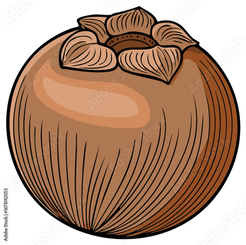 Brown persimmon fruit with green leaf crown and detailed texture illustration