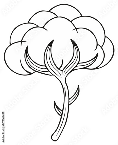 Monochrome depiction of a cotton plant with fluffy head and detailed stem in a clean graphic style suitable for design applications