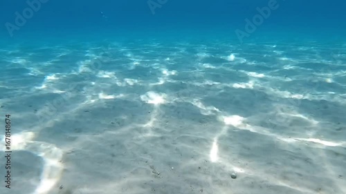 Underwater Light Caustics on a Sandy Ocean Floor