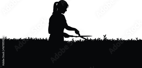 Silhouette of woman trimming hedge with shears, gardening activity
