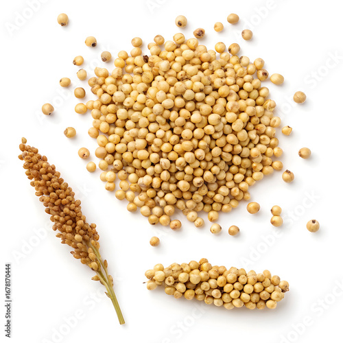 Close-up of sorghum grains isolated on a white background, showcasing their small round shape