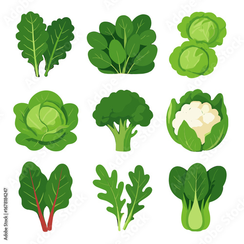 Cabbage broccoli icons choy icon vector arugula spinach plant bok garden heads