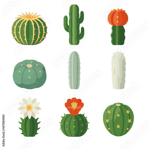 Vectors cacti lily variety moon strawberry old cactus totem man icon torch