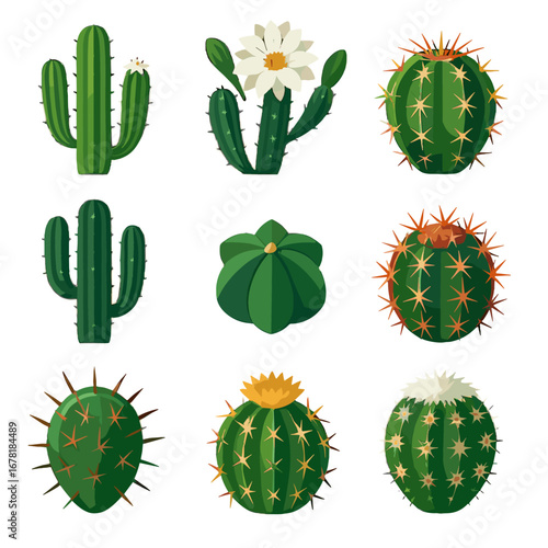 Vector variety barrel dark crown grid cactus icon blooming hairy rainbow green
