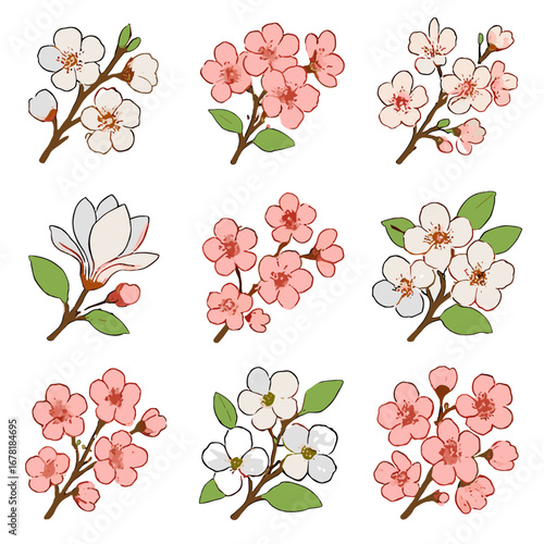 Magnolia dogwood collection flower icon apple vector sprigs spring stems bloom blossom