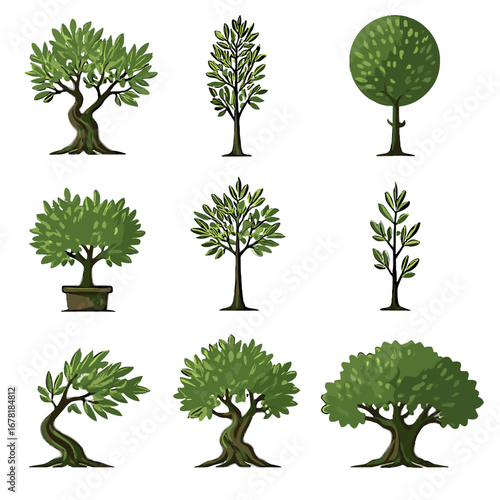 Canopy compact old topiary young tree vector leaning olive collection icon