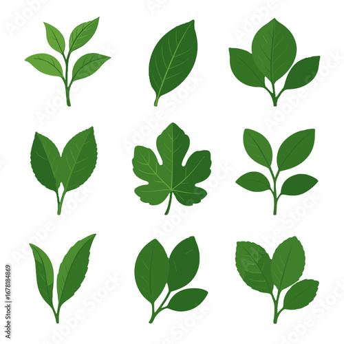 Peach lemon fruit leaves pear young tree cherry plum vector icon tender