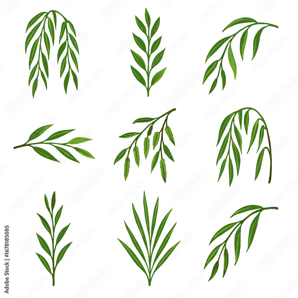 Naklejka premium Vector hanging thin shoots branch icon growth summer canes arching willow