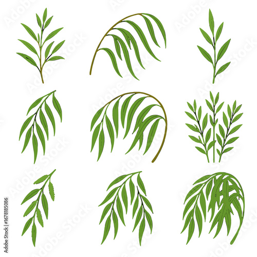 Vector soft swaying young branches long twigs branch cascades willow icon
