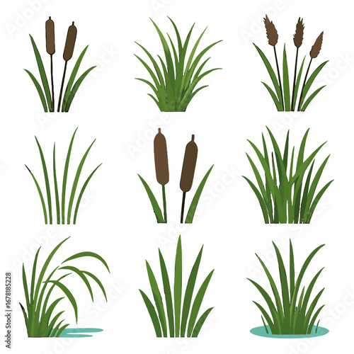Flower icon stalks brown reeds vector reed rushes rush simple marsh stems