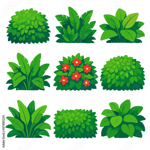 Exotic icon hedges rainforest green bushes ornamental jungle tropical vector broad
