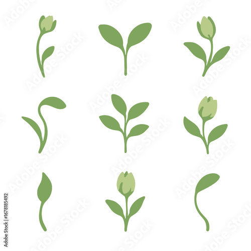 Stems vector plant floral icon sprouts pointed soft tips budding
