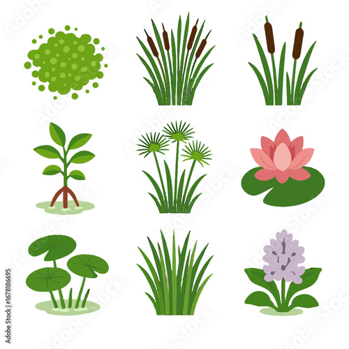 Mats vector vegetation grass lily icon hyacinth seedlings pad blooms flowers icons