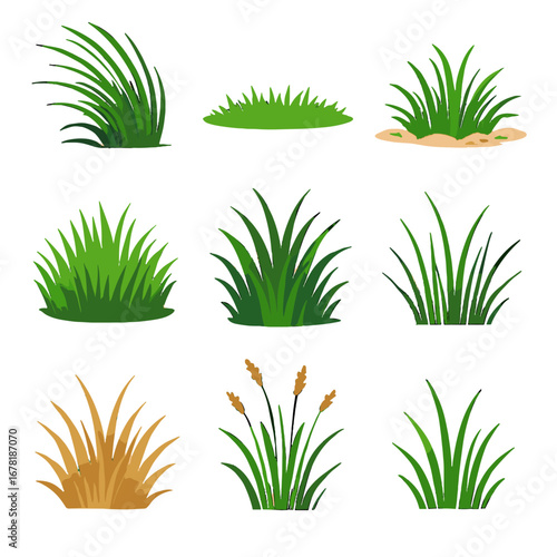 Golf tall vector grass delicate wild tufts bunches early icon set pasture
