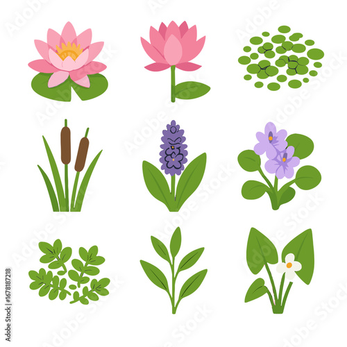 Cattail arrowhead icon vectors flower duckweed water plant pickerelweed patch fern vector