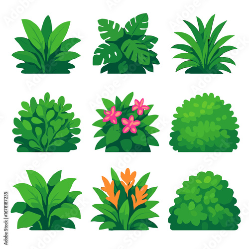 Vibrant ornamental green lush collection tropical icon exotic undergrowth vector bushes foliage