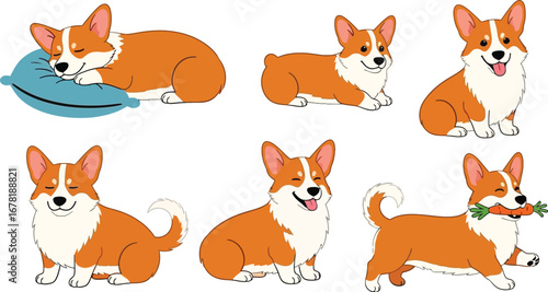Adorable Corgi dogs collection showcasing playful moods and activities, great for pet lovers and animal content