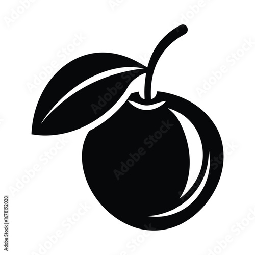 Sapodilla Vector Illustration