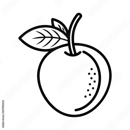 Sapodilla Fruit Graphic