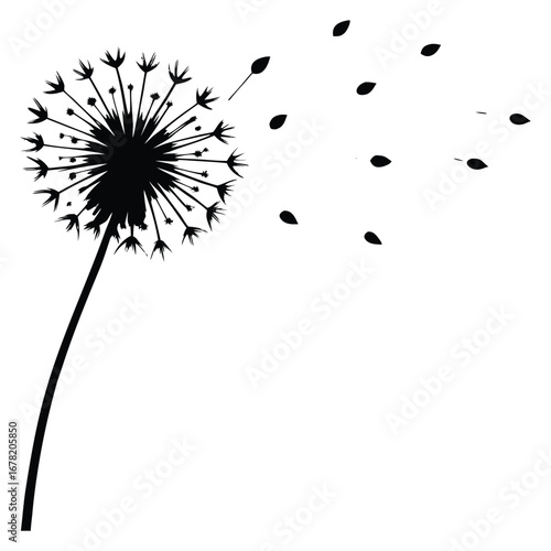 Black and white image of a dandelion with seeds blowing in wind