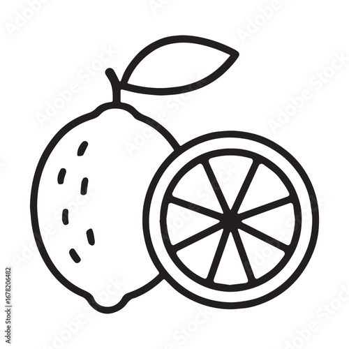 Whole Lime Fruit Vector