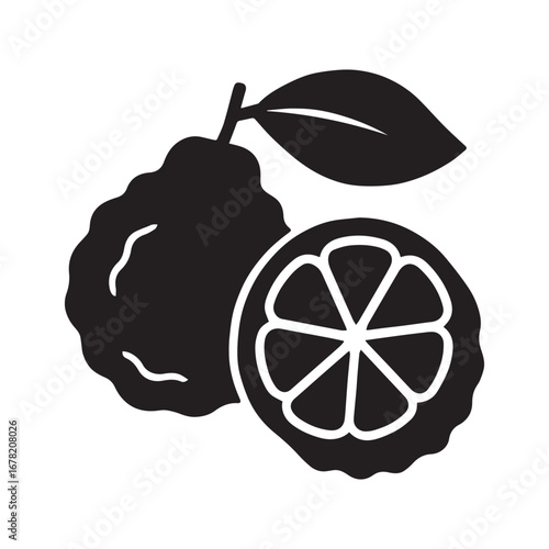 Kaffir Lime Slice Vector