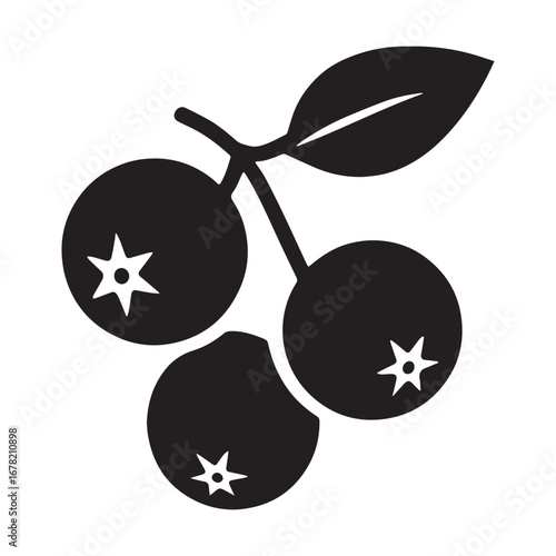 Jostaberry Fruit Vector