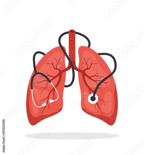 Lungs care concept. Medical check up. Big realistic lung with stethoscope. Flat Vector illustration.