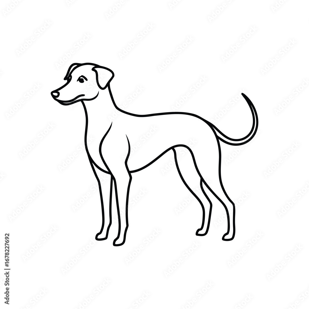 Fototapeta premium Dog line art vector, Animal dog, cute dog, babay dog