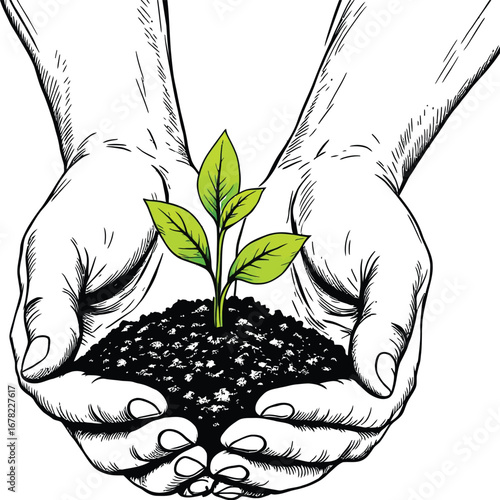 Black-and-white hands cupping soil with green sprout—symbol of growth, nature care, sustainability, and environmental nurturing