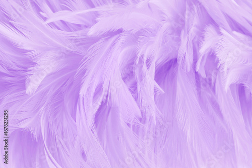 Purple pastel color bird feather pattern texture for background and design.