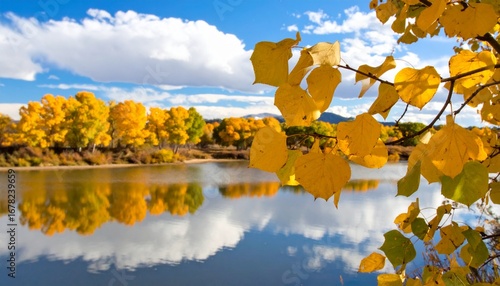 Autumn foliage reflected in tranquil lake