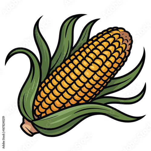 corn cobs isolated on white