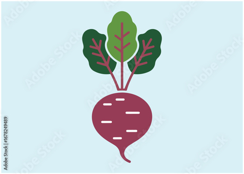 Beet icon, Beet vector