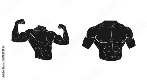 Muscular Male Torso and Arms Illustrations