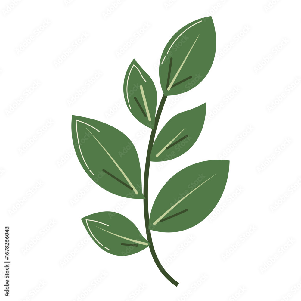 Naklejka premium Botanical illustration of green leaves branch, minimal and natural design element for eco-friendly, organic, and floral themes. 