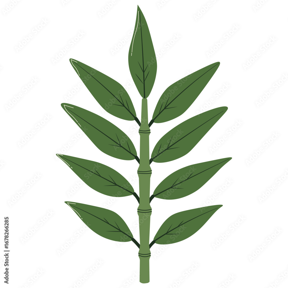 Naklejka premium Elegant slim green leaf illustration, symbolizing freshness, tropical plants, natural environment, eco themes, foliage design, and greenery decoration.