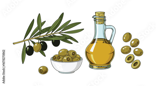 AdobGreen olives in isolation with an oil bottle. A branch of Greek and Italian olives accompanied by a jug. Vector illustration of ripe fruits and extra virgin olive oil.