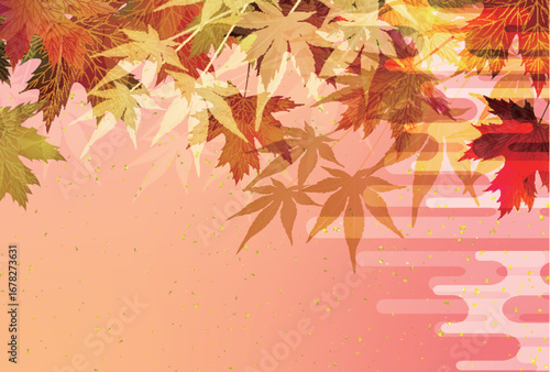 紅葉　もみじ　秋　背景	
