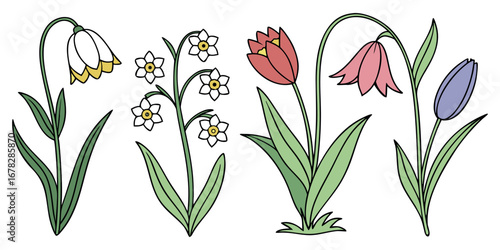 Charming collection of spring flowers, including delicate tulips, daffodils, and bell-shaped blossoms, celebrating nature's renewal and beauty.