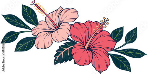 Vibrant pink and coral hibiscus flowers with lush green leaves create a tropical paradise feel for your designs.