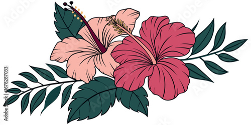Vibrant hibiscus flowers with lush green leaves bring tropical beauty and exotic charm to any design project.